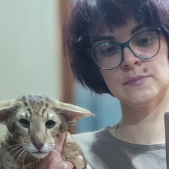 Алиса Мухаметзянова, 45 лет, Саранск