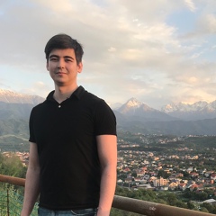 Ринат Салахутдинов, 33 года, Алматы