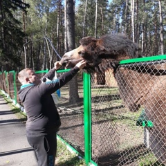 Николай Зубов, Орёл