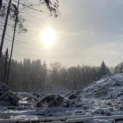 Ольга Жогова, Санкт-Петербург