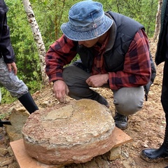 Александр Попов, 34 года, Балашиха