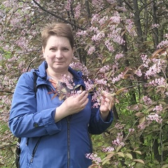 Елена Булатова, Москва