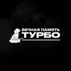 Денис Дмитренко, Сургут