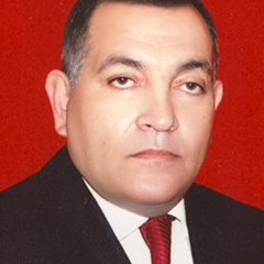 Seyfeddin Esed, 71 год