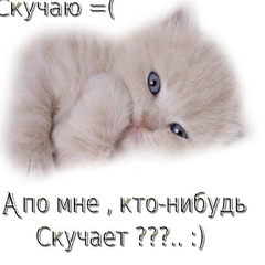 Андрей Козлов, Боярка