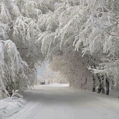 Николай Бородин, Королёв