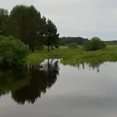 Андрей Боровой, Санкт-Петербург