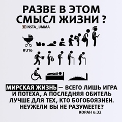 Амир Ходжаев, Мытищи