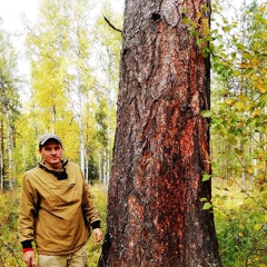 Андрей Салатов, 39 лет, Красноярск