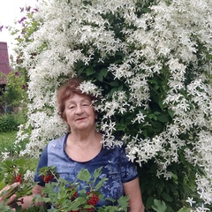 Алла Москвина, 79 лет, Санкт-Петербург