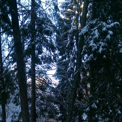 Евгения Гродская, Днепр (Днепропетровск)