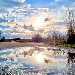 Светлана Зайковская, Санкт-Петербург