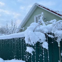 Николай Лыков, Санкт-Петербург