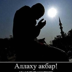 Islam Gasanov, 34 года, Москва