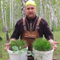 Андрей Кульпин, Копейск