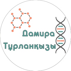 Дамира Турланкызы, 20 лет, Алматы