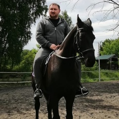 Кирилл Патшин, 36 лет, Кемерово