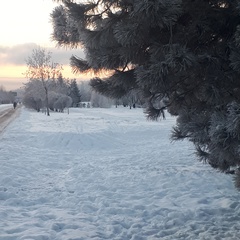 Жанна Полежаева, Питер (село)