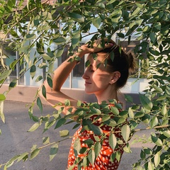Елена Болдырева