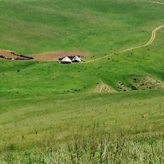 Куралай Сауран, Астана