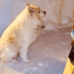 Людмила Быкова