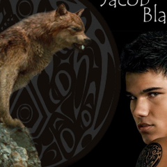 Jacob Black