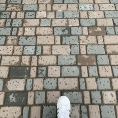 Натали Фокс