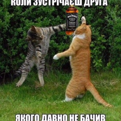Василий Петров, 28 лет, Днепр (Днепропетровск)
