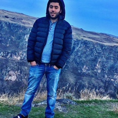 Arsen Barseghyan