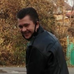 Дмитрий Лапоногов, 41 год, Алматы