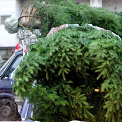 Евгений Шклярский, Санаторий Сосновый Бор