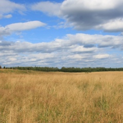 Яна Новикова, Санкт-Петербург