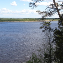 Галина Барминская, Санкт-Петербург