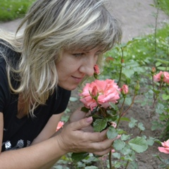 Елена Гурьева, 49 лет, Липецк