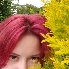 Елена Штейн, 41 год, Санкт-Петербург