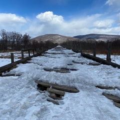 Александр Сергеевич, Ростов-на-Дону