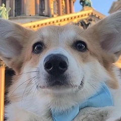 Евгений Большов