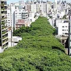 Gonçalo de Carvalho, 73 года, Porto Alegre