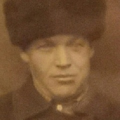 Дмитрий Пономарёв, Шиес