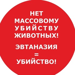 Анастасия Петроваа, Санкт-Петербург