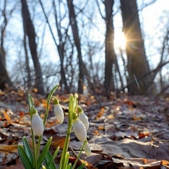 Алина Латыпова, Пермь