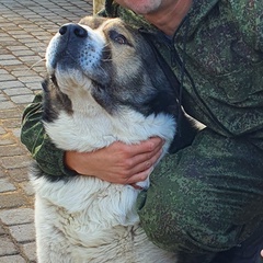 Алексей Полозов, 41 год, Санкт-Петербург