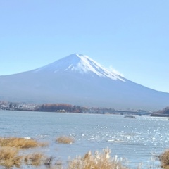 Люсёк Пирожкова, Краснодар