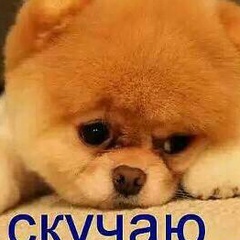Малика Хамидова