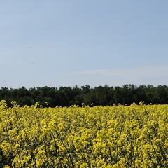 Марина Пасько, Днепр (Днепропетровск)