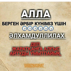 Шынар Абилхан