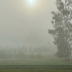 Александр Кузнецов, Воркута