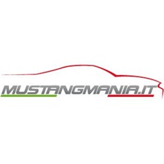 Mustang Mania, 41 год, Piacenza