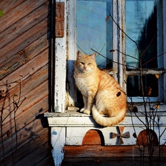 Марина Циммерман
