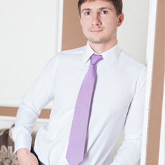 Денис Переверзев, 38 лет, Красноярск